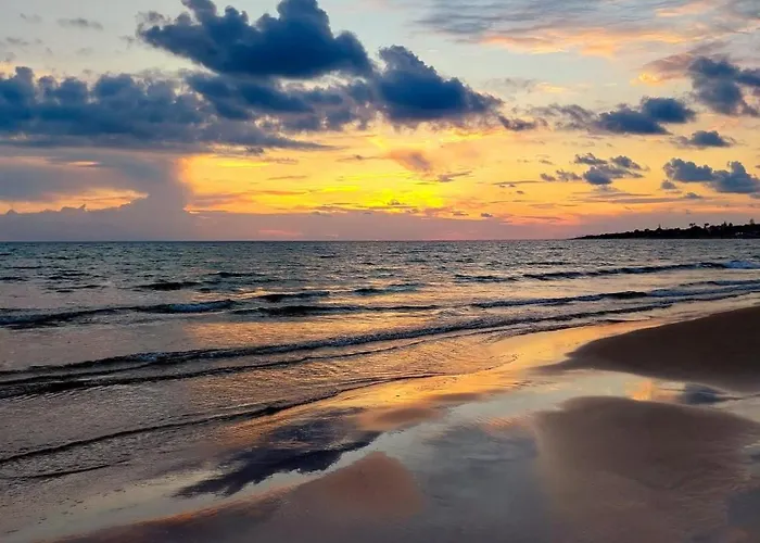 Metaphora - & Experiences In *