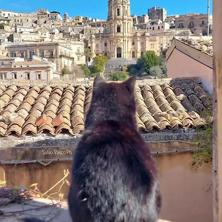 Metaphora - & Experiences In Modica